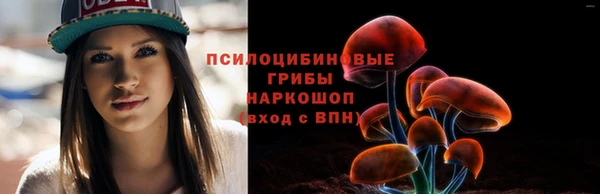 скорость Алзамай