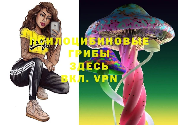 круглые Армянск